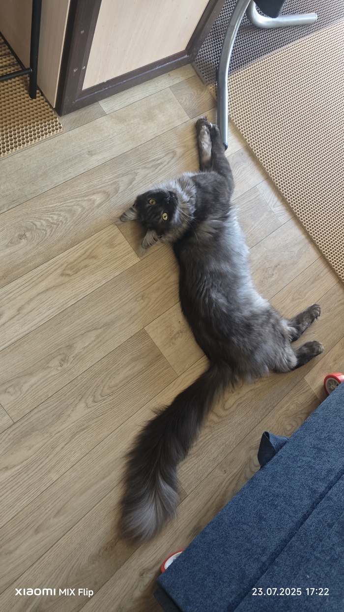 Остужаемся на полу