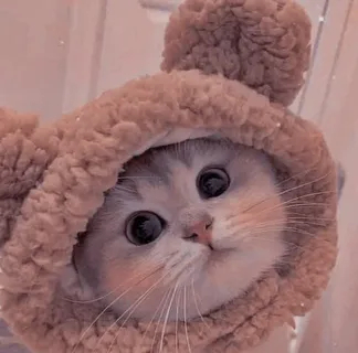 � ����� � ���� ���� �������