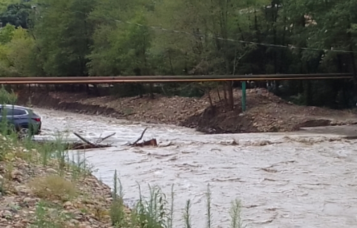 Дождь, река и бензопила