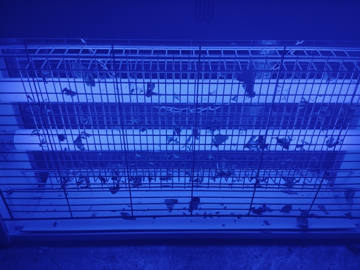   , , 
