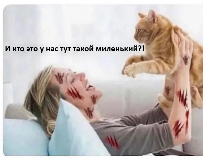   ,   , , , , Telegram ()