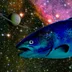 SpectralSalmon