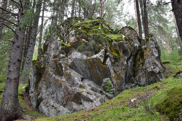 В прибрежных лесах разбросаны огромные древние валуны, напоминающие короны сказочных великанов...