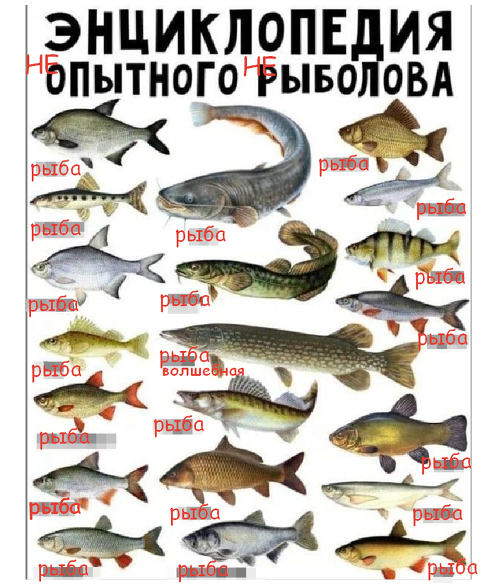       , , ,   , 
