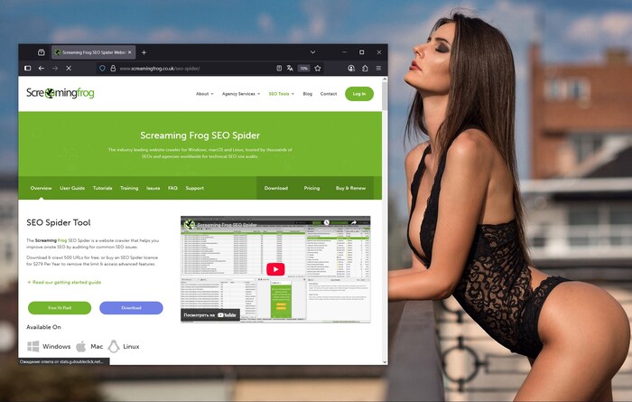 Screaming Frog SEO Spider:   ,      .