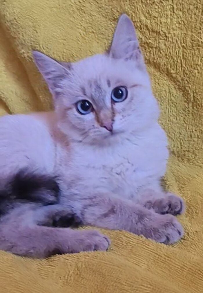    .    ,  , , , 