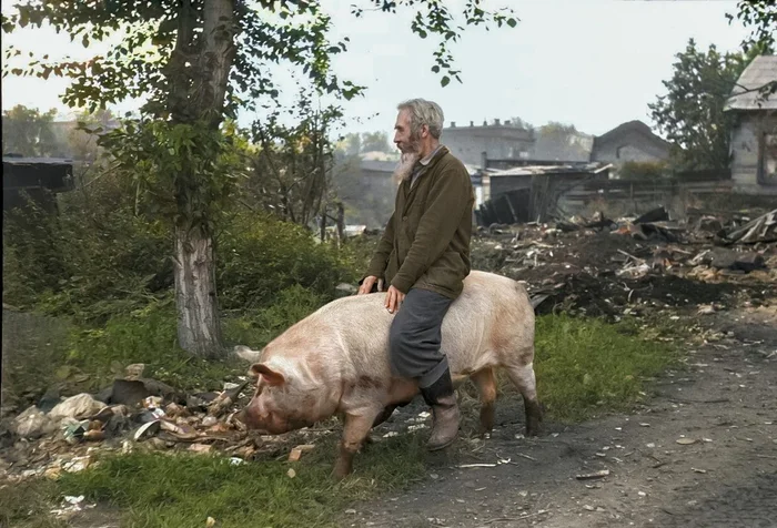 Подборка простых и потрясающих фотографий эпохи СССР. 20 раскрашенных фотографий. Часть 27 20 век, Старое фото, Фотография, СССР, Детство в СССР, 60-е, 70-е, 80-е, 50-е, 40-е, Колоризация, Длиннопост