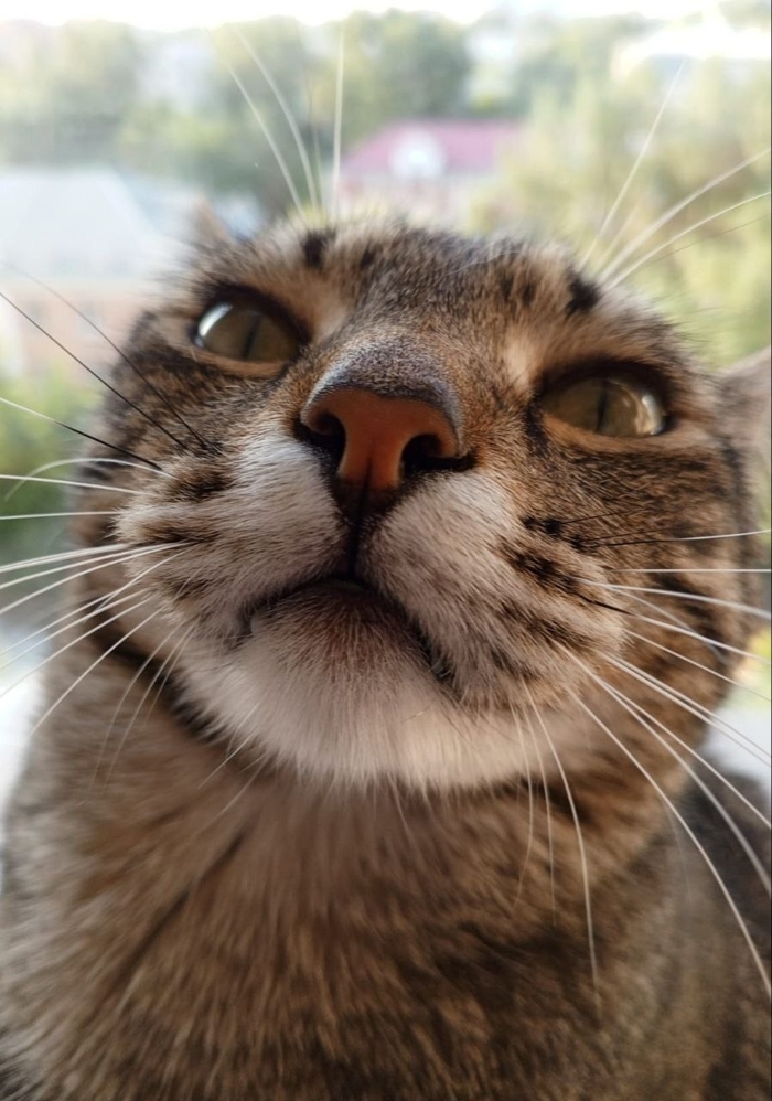   , , , ,  , 