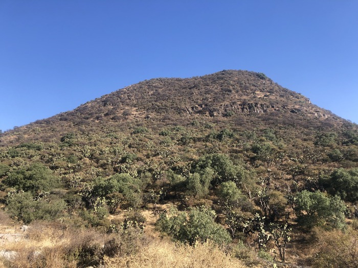 Сталкер и сновидец