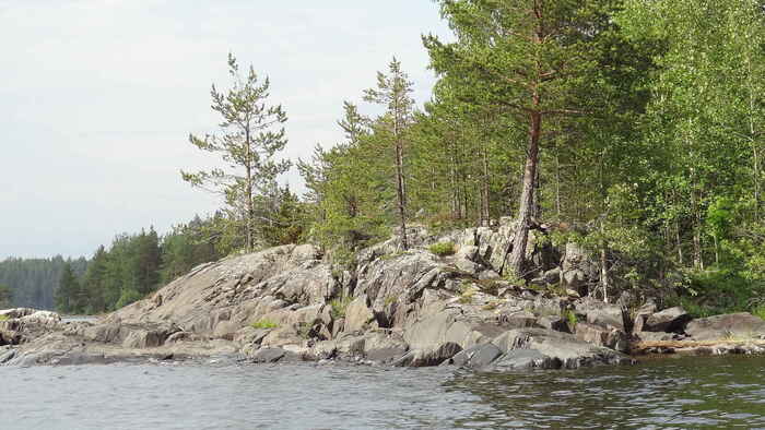 �������� �������� �����