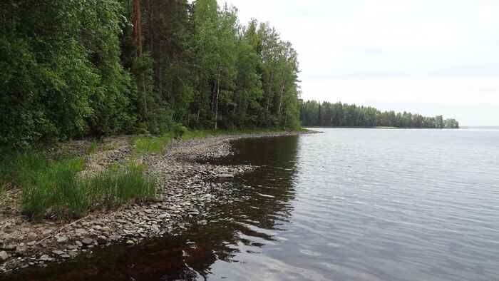 ����� ��� ��� � �������