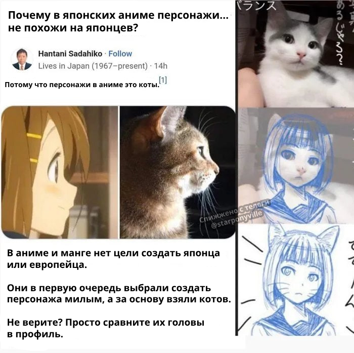    ,  ,   , , ,  , , Telegram (), 