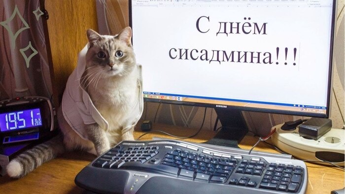 Поздравляю вас с Днём системного администратора