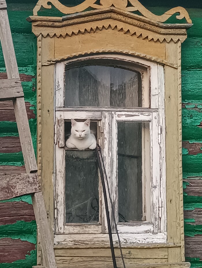      , , , 