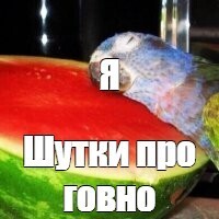 ¨  , , , ,  