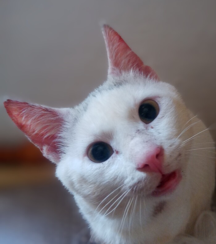       , ,  , 