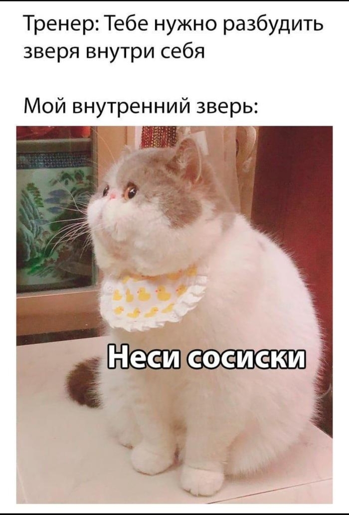 � �����, �� �����!