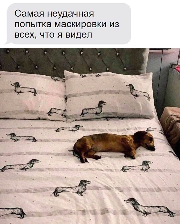   , 