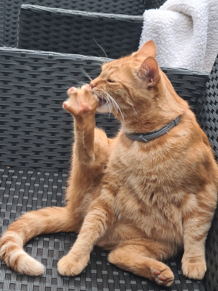 ! , , , 