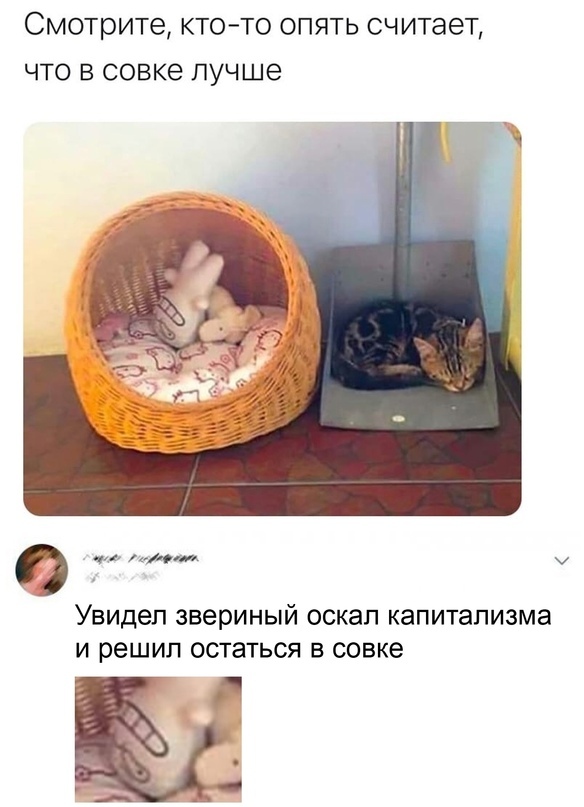 ...никто не хочет лежать с голым Сансом