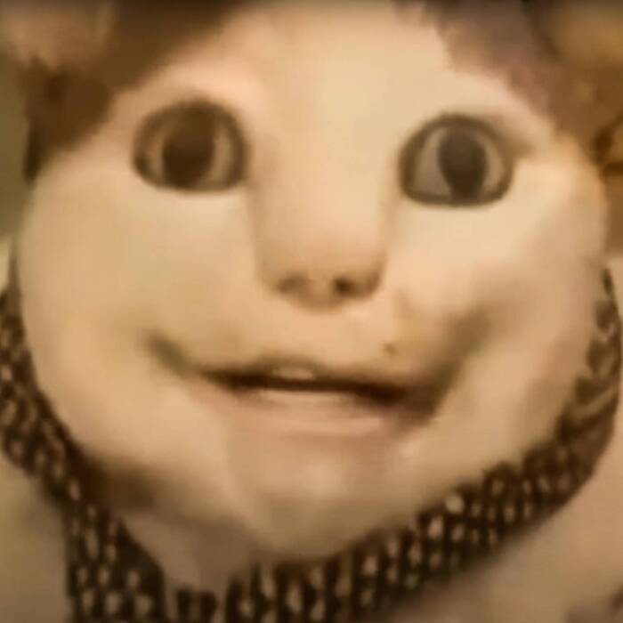  ,  ,  ,  , , , , 