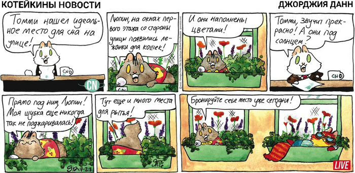    27.07.2025 ,   (), , 