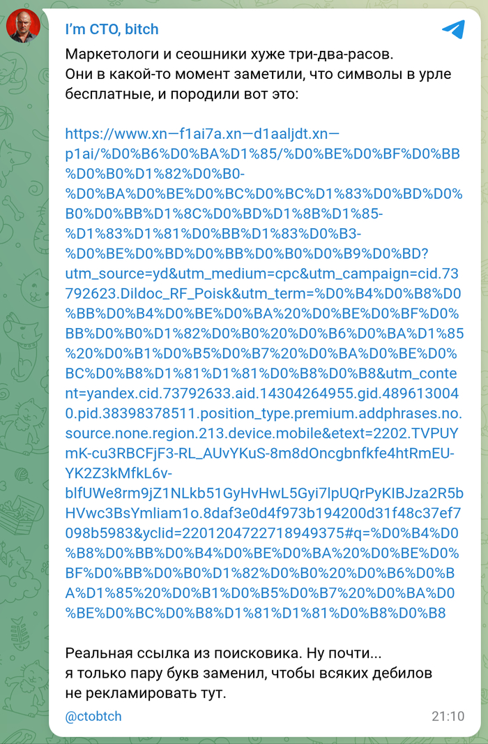 ,   ? I`m CTO bitch, , , -, , SEO, , IT , , , , 