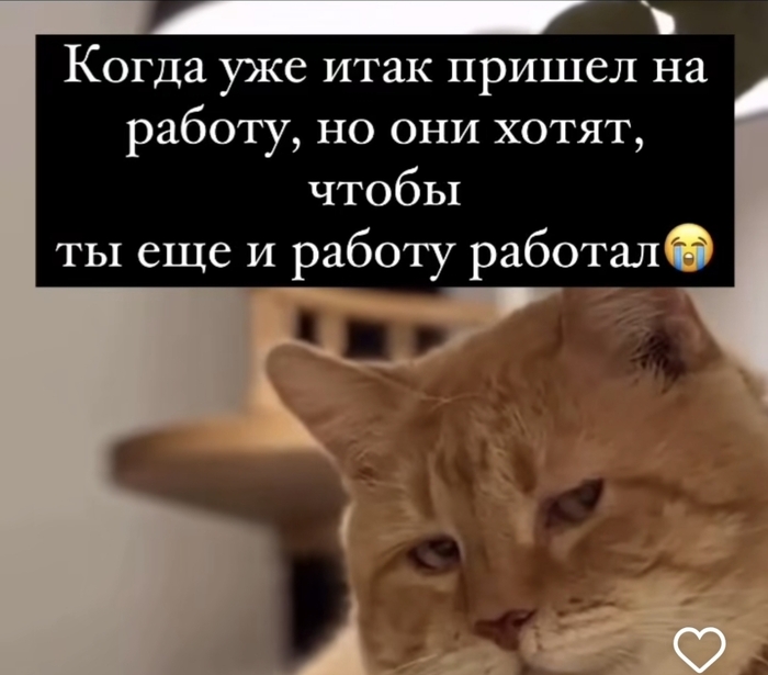      , , ,  , ,  , , , , , , , 