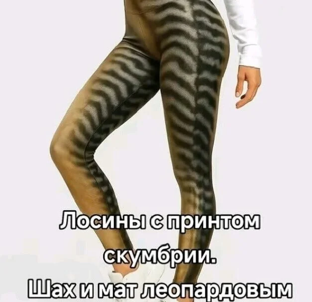 fgqhopds.webp