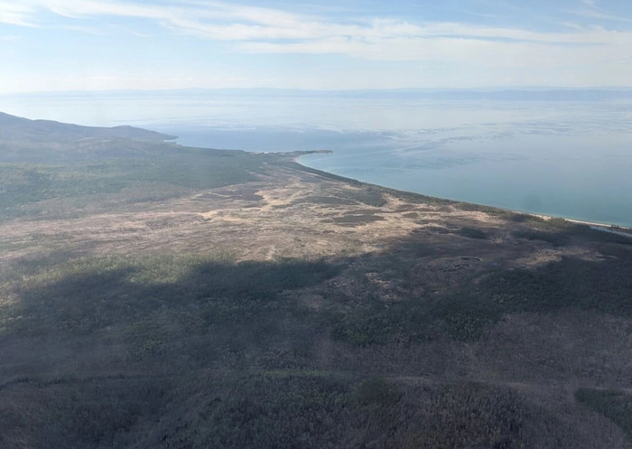 ������������ ���������� ������� � �� ��� ������