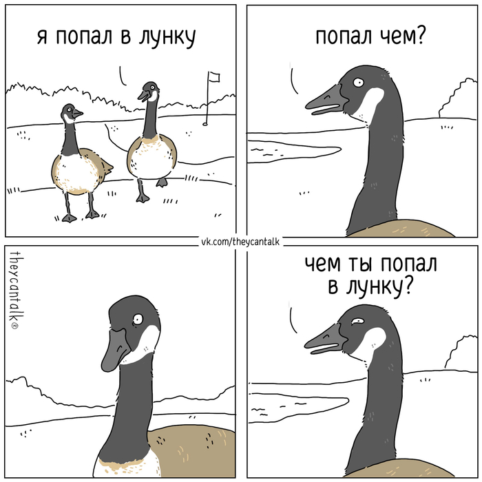  Theycantalk,  , , , , , , Telegram (),  ()