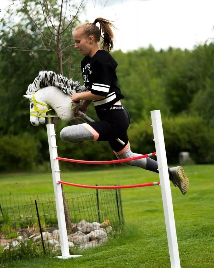 Хоббихорсинг