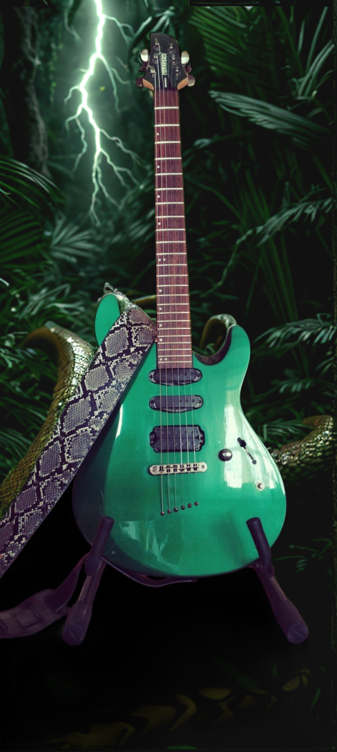 Fernandes Dragonfly , ,  , 