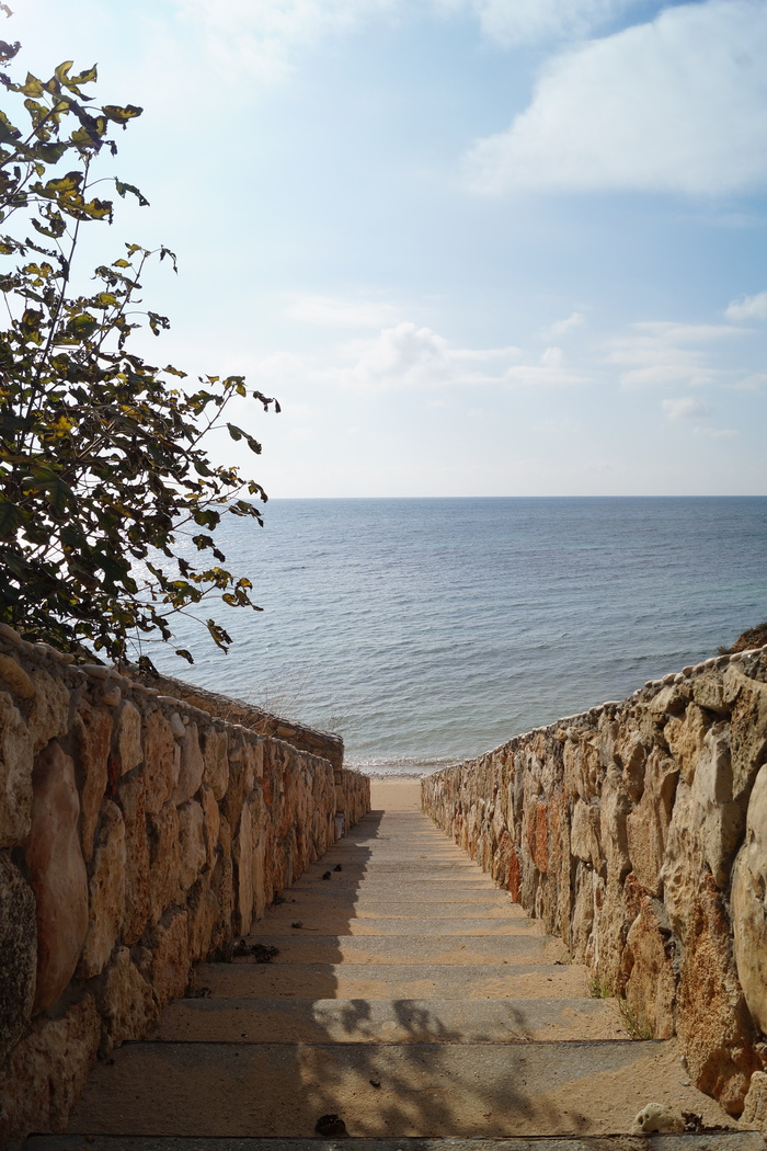 Если не ошибаюсь, Марьино