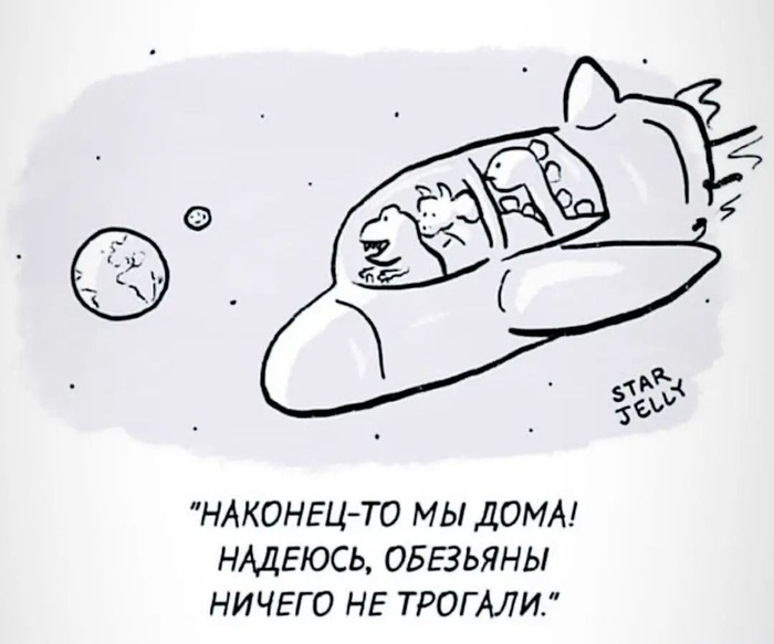  odisseylaertov          