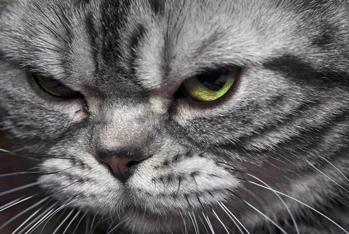 ����� ��� ��� �������� � �������, � �� ��� ��� @..@..@