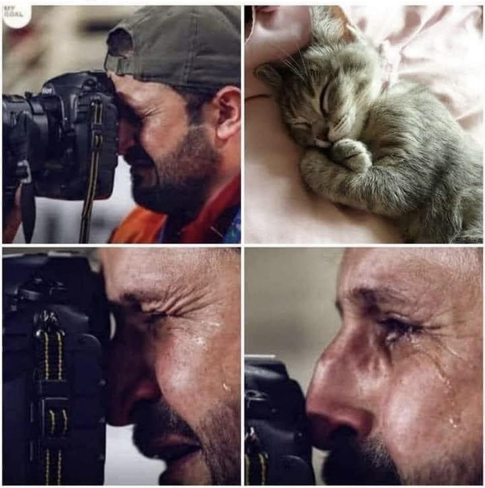    ,      , , 