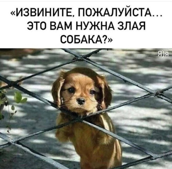  ,     , ,   , , ,  ,  ,  , , RUTUBE