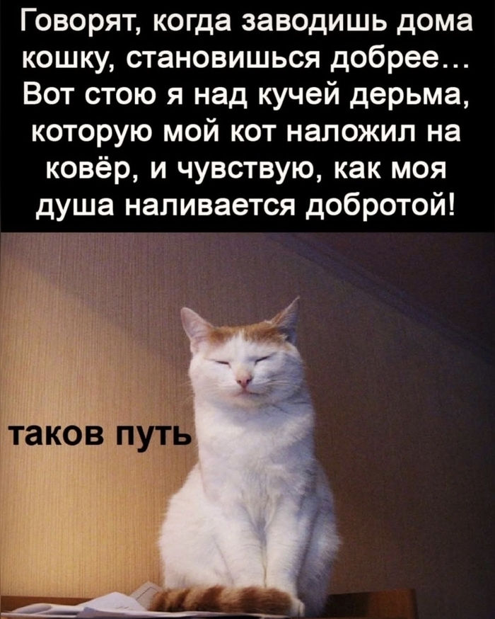      , , ,  , , , ,  ,   