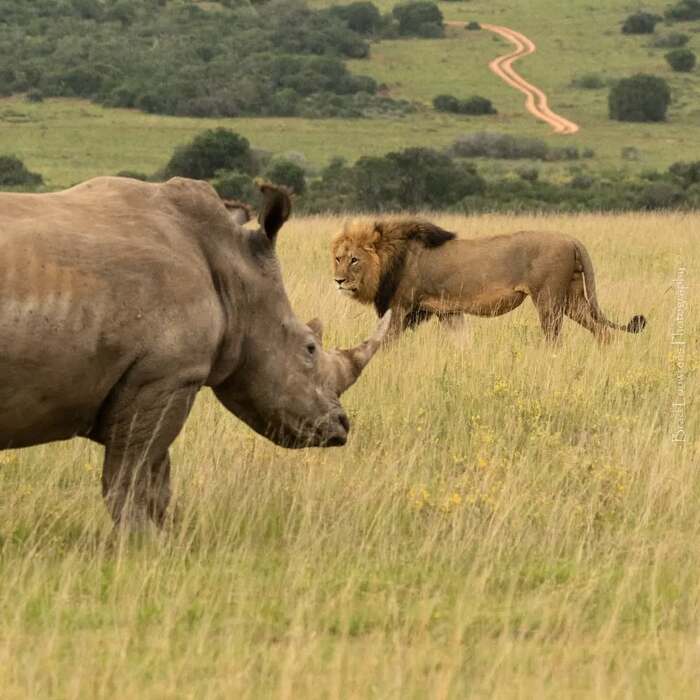 Кто здесь главный?