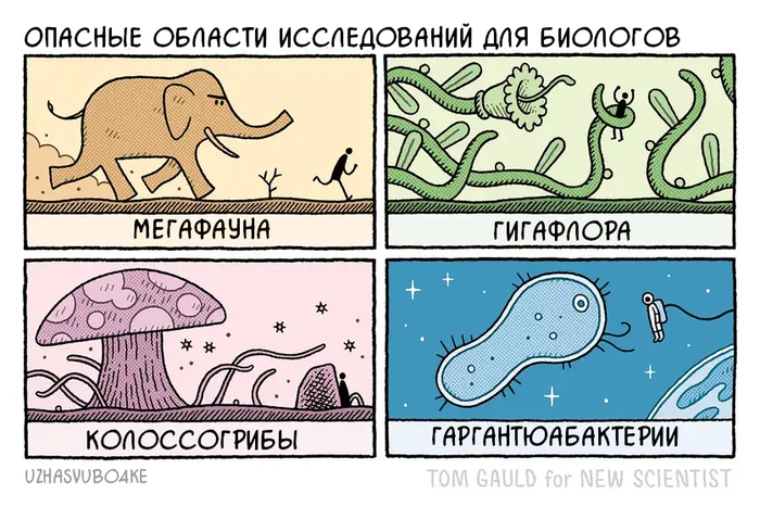 <a href="https://pikabu.ru/story/biologiya_13013836?u=https%3A%2F%2Fwww.newscientist.com%2Farticle%2F2484554-tom-gauld-on-dangerous-research-areas-for-biologists%2F&t=%D0%9E%D1%80%D0%B8%D0%B3%D0%B8%D0%BD%D0%B0%D0%BB&h=4108227dd1e105379722b123dba0a7bd4623e6e9" title="https://www.newscientist.com/article/2484554-tom-gauld-on-dangerous-research-areas-for-biologists/" target="_blank" rel="nofollow noopener">Оригинал</a> <a href="https://pikabu.ru/story/biologiya_13013836?u=https%3A%2F%2Ft.me%2Fuzhasvubo4ke&t=%D0%9F%D0%B5%D1%80%D0%B5%D0%B2%D0%BE%D0%B4%D1%8B&h=4e72d063159c919d570ceb2fe8846eae6874d1d4" title="https://t.me/uzhasvubo4ke" target="_blank" rel="nofollow noopener">Переводы</a>