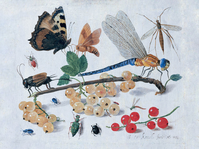     .   Jan van Kessel the Elder, 1653 .