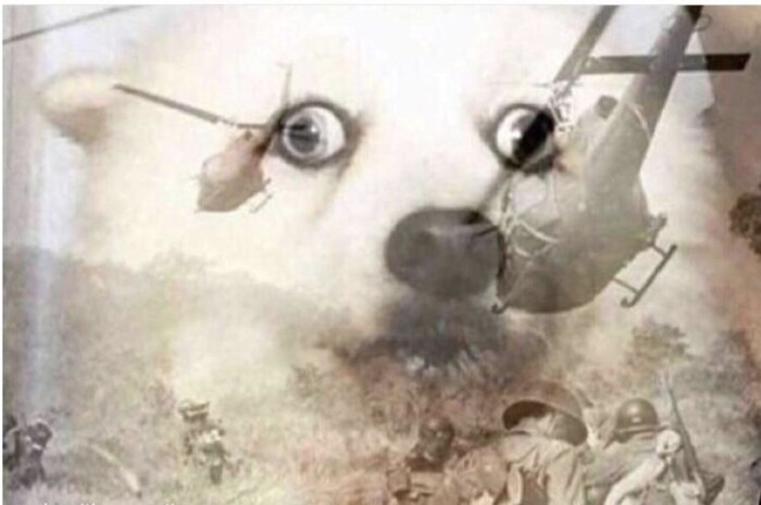     , , ,  , , , 