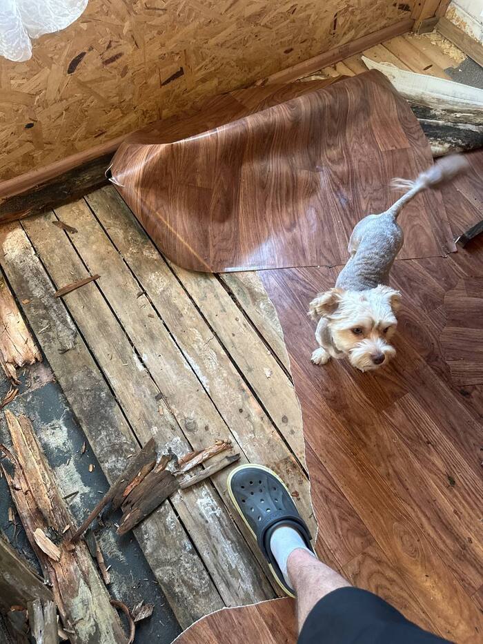 А это мой помощник.