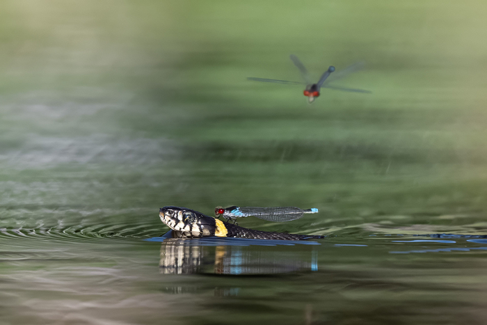 Проезд по тройке.