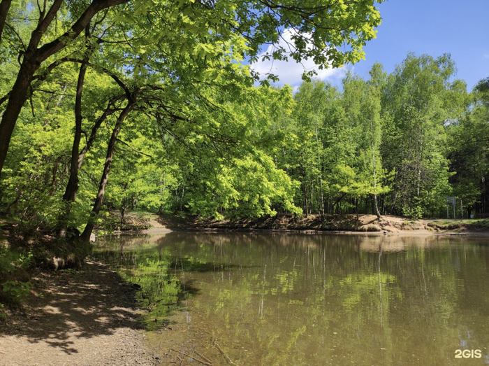 ����� ����: Ksenia Ivanova