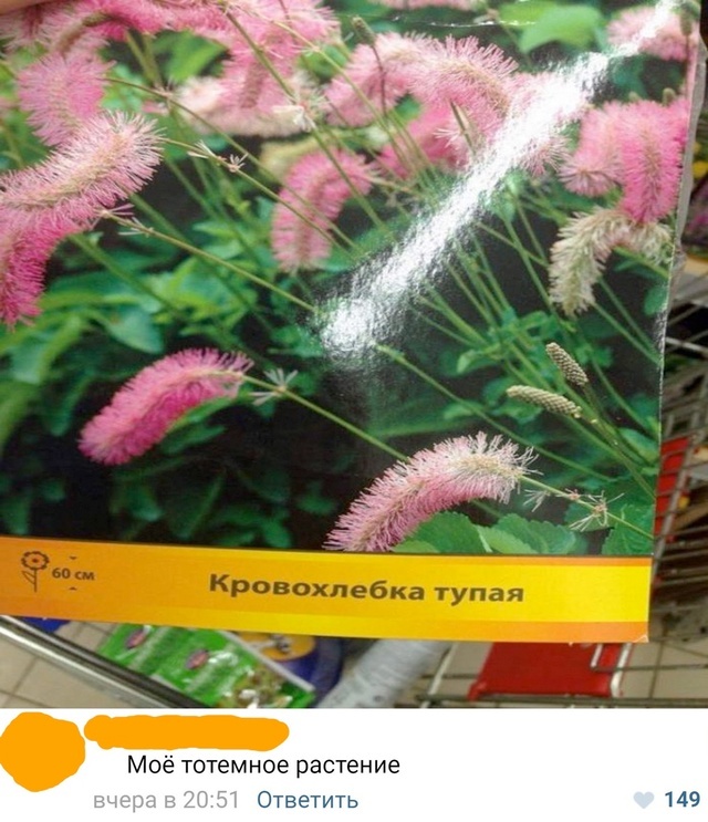    , , , , 