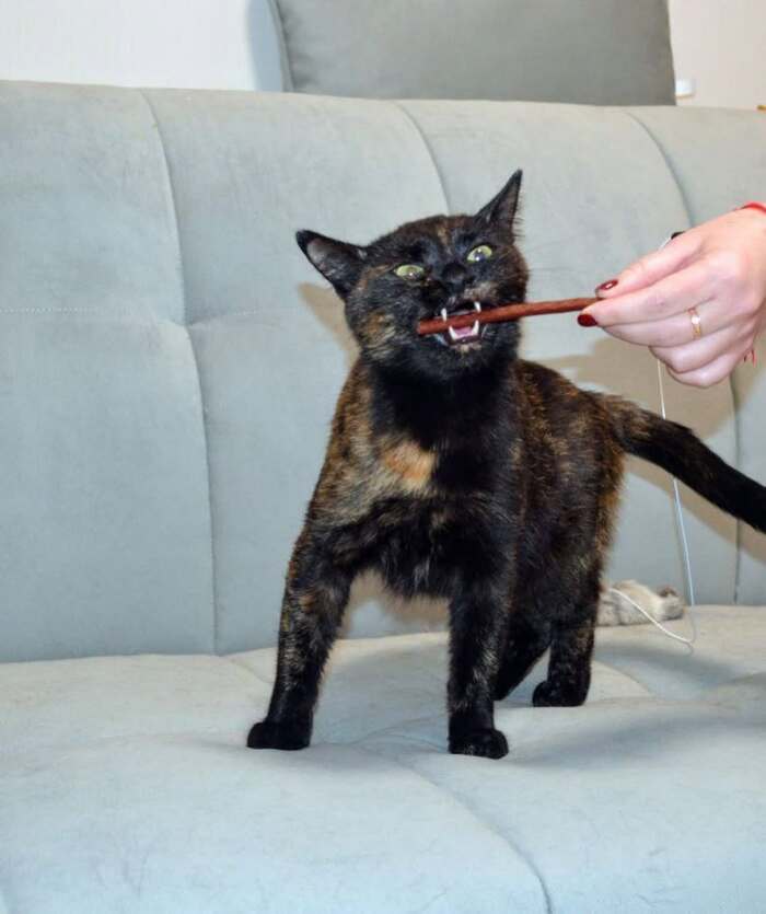 ����������� ����� ���� ���!