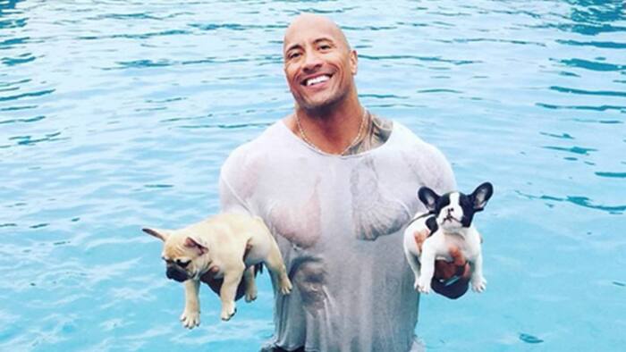 Дуэйн Скала Джонсон.