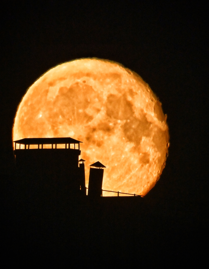    ,   , ,  . ?    ? (  ,  )